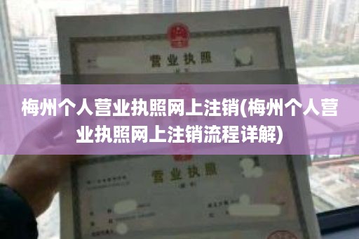 梅州个人营业执照网上注销(梅州个人营业执照网上注销流程详解)
