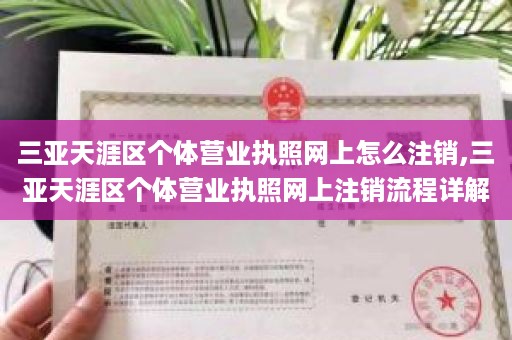 三亚天涯区个体营业执照网上怎么注销,三亚天涯区个体营业执照网上注销流程详解