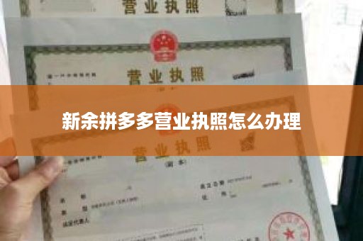 新余拼多多营业执照怎么办理