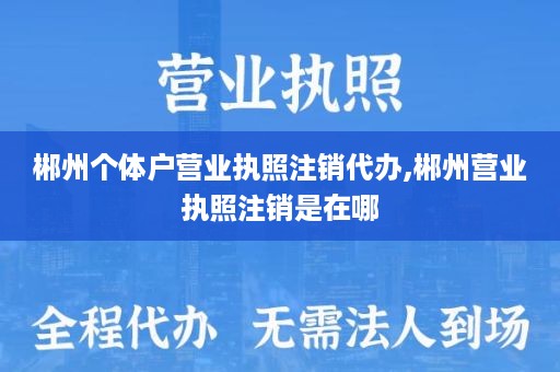郴州个体户营业执照注销代办,郴州营业执照注销是在哪