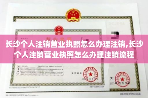 长沙个人注销营业执照怎么办理注销,长沙个人注销营业执照怎么办理注销流程