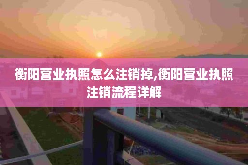 衡阳营业执照怎么注销掉,衡阳营业执照注销流程详解