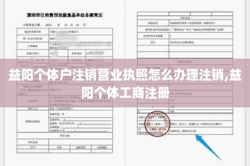 益阳个体户注销营业执照怎么办理注销,益阳个体工商注册