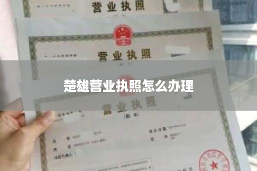 楚雄营业执照怎么办理