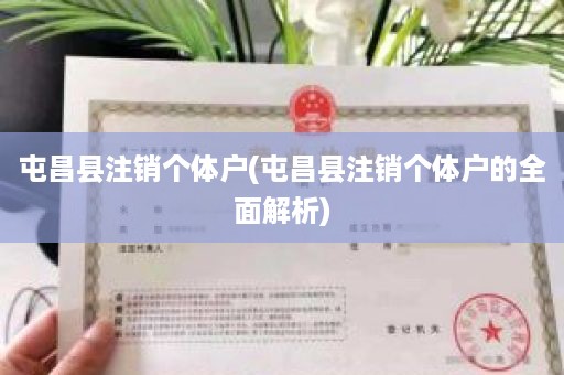 屯昌县注销个体户(屯昌县注销个体户的全面解析)