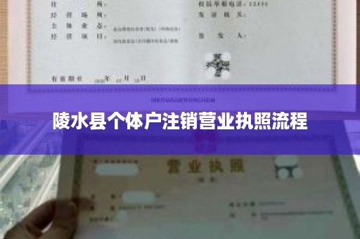 陵水县个体户注销营业执照流程