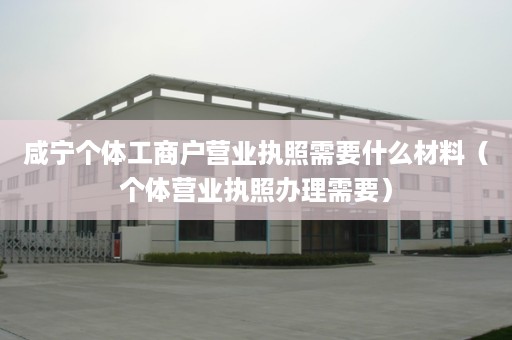 咸宁个体工商户营业执照需要什么材料（个体营业执照办理需要）