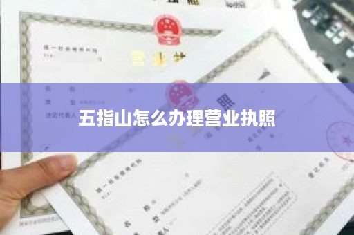五指山怎么办理营业执照