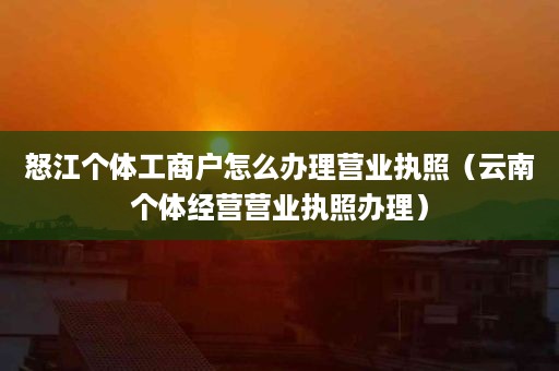 怒江个体工商户怎么办理营业执照（云南个体经营营业执照办理）