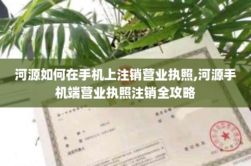 河源如何在手机上注销营业执照,河源手机端营业执照注销全攻略