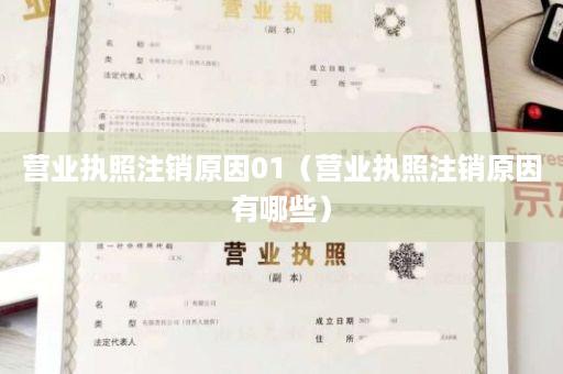 营业执照注销原因01（营业执照注销原因有哪些）
