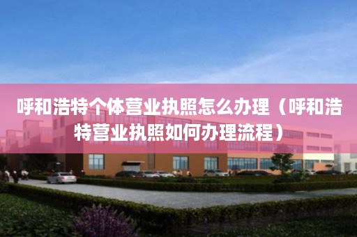 呼和浩特个体营业执照怎么办理（呼和浩特营业执照如何办理流程）