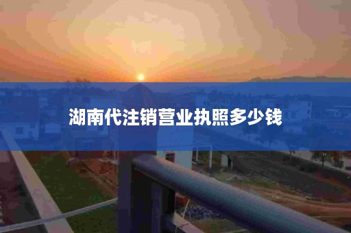 湖南代注销营业执照多少钱