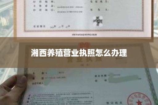 湘西养殖营业执照怎么办理
