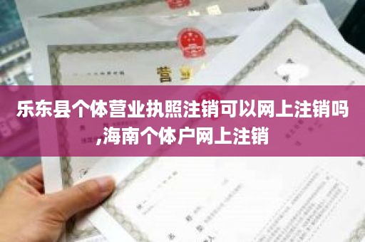 乐东县个体营业执照注销可以网上注销吗,海南个体户网上注销