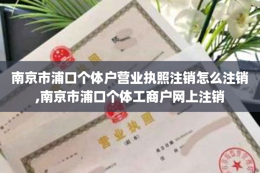 南京市浦口个体户营业执照注销怎么注销,南京市浦口个体工商户网上注销