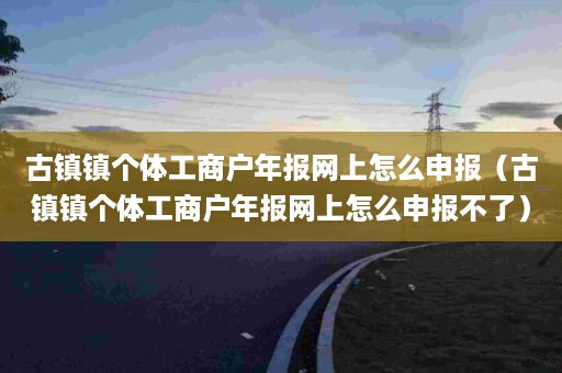 古镇镇个体工商户年报网上怎么申报（古镇镇个体工商户年报网上怎么申报不了）