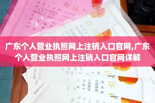 广东个人营业执照网上注销入口官网,广东个人营业执照网上注销入口官网详解