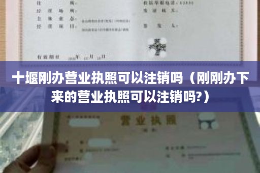 十堰刚办营业执照可以注销吗（刚刚办下来的营业执照可以注销吗?）