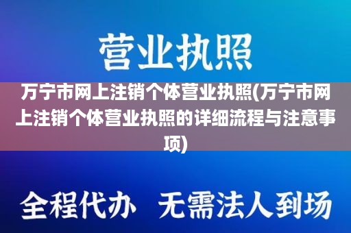 万宁市网上注销个体营业执照(万宁市网上注销个体营业执照的详细流程与注意事项)