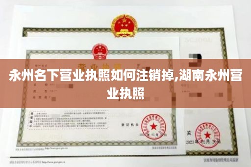 永州名下营业执照如何注销掉,湖南永州营业执照