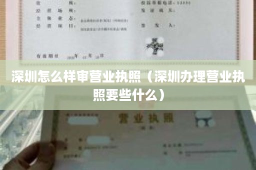 深圳怎么样审营业执照（深圳办理营业执照要些什么）