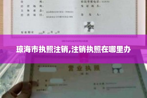 琼海市执照注销,注销执照在哪里办