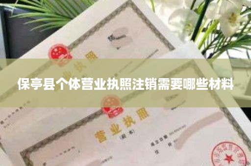 保亭县个体营业执照注销需要哪些材料