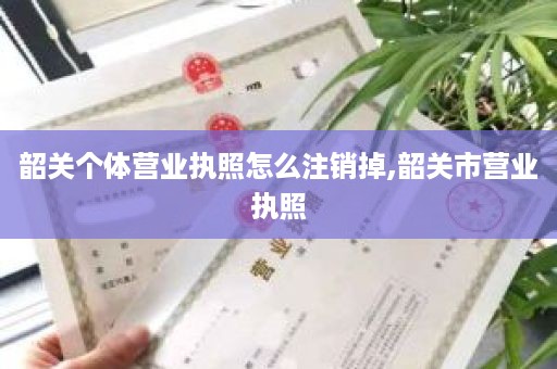 韶关个体营业执照怎么注销掉,韶关市营业执照