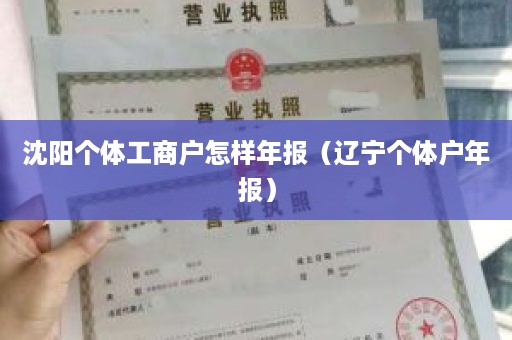 沈阳个体工商户怎样年报（辽宁个体户年报）