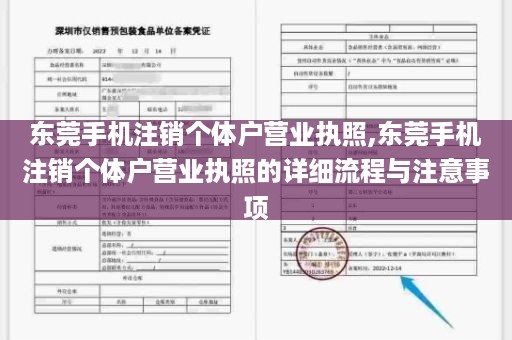 东莞手机注销个体户营业执照,东莞手机注销个体户营业执照的详细流程与注意事项