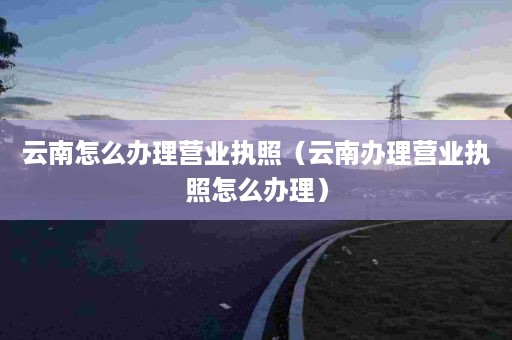 云南怎么办理营业执照（云南办理营业执照怎么办理）