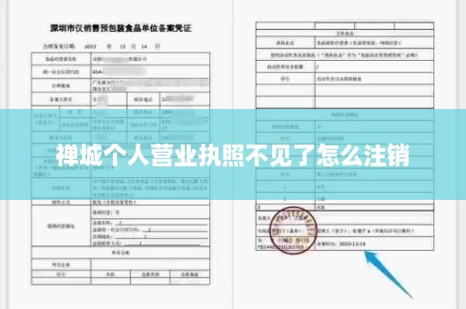 禅城个人营业执照不见了怎么注销