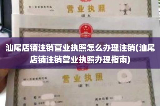 汕尾店铺注销营业执照怎么办理注销(汕尾店铺注销营业执照办理指南)