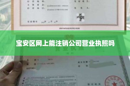 宝安区网上能注销公司营业执照吗