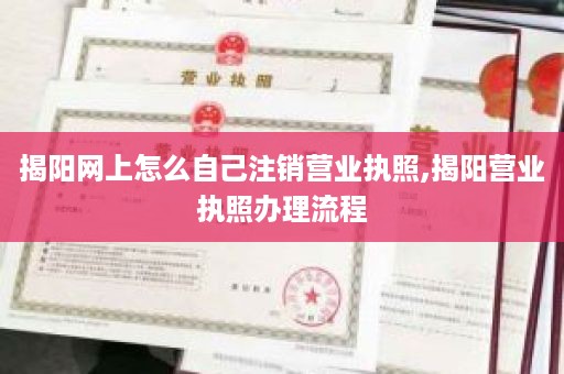 揭阳网上怎么自己注销营业执照,揭阳营业执照办理流程