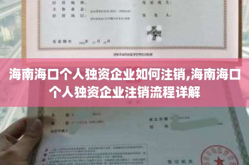 海南海口个人独资企业如何注销,海南海口个人独资企业注销流程详解