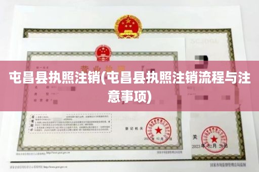 屯昌县执照注销(屯昌县执照注销流程与注意事项)