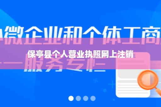 保亭县个人营业执照网上注销