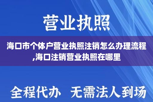 海口市个体户营业执照注销怎么办理流程,海口注销营业执照在哪里