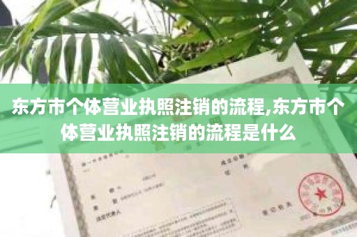 东方市个体营业执照注销的流程,东方市个体营业执照注销的流程是什么