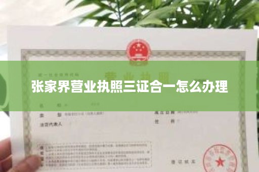 张家界营业执照三证合一怎么办理