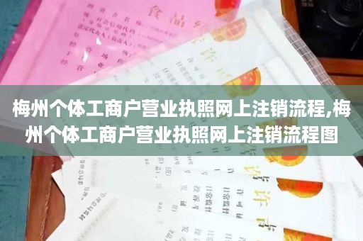 梅州个体工商户营业执照网上注销流程,梅州个体工商户营业执照网上注销流程图
