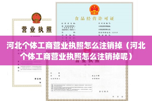 河北个体工商营业执照怎么注销掉（河北个体工商营业执照怎么注销掉呢）
