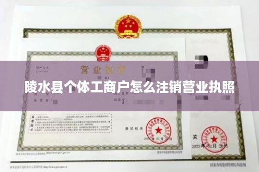 陵水县个体工商户怎么注销营业执照