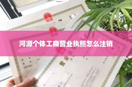 河源个体工商营业执照怎么注销