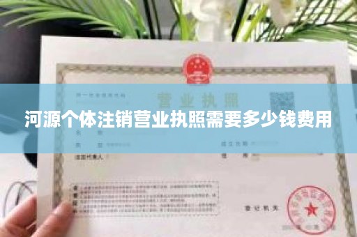 河源个体注销营业执照需要多少钱费用