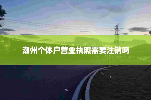 潮州个体户营业执照需要注销吗