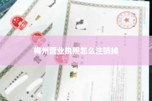 梅州营业执照怎么注销掉