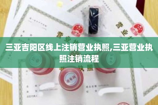 三亚吉阳区线上注销营业执照,三亚营业执照注销流程
